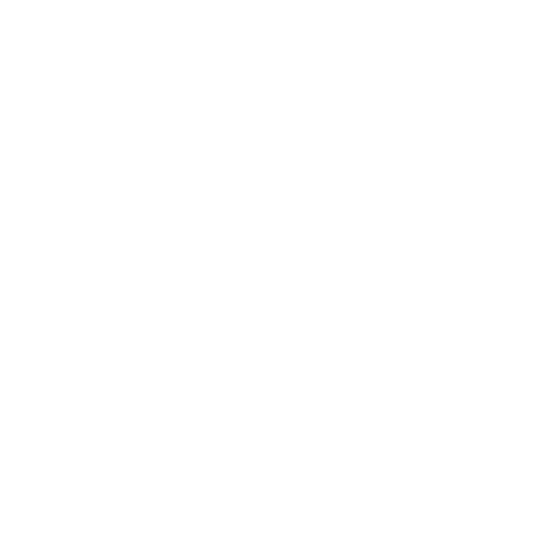Backing the Brave TX logo